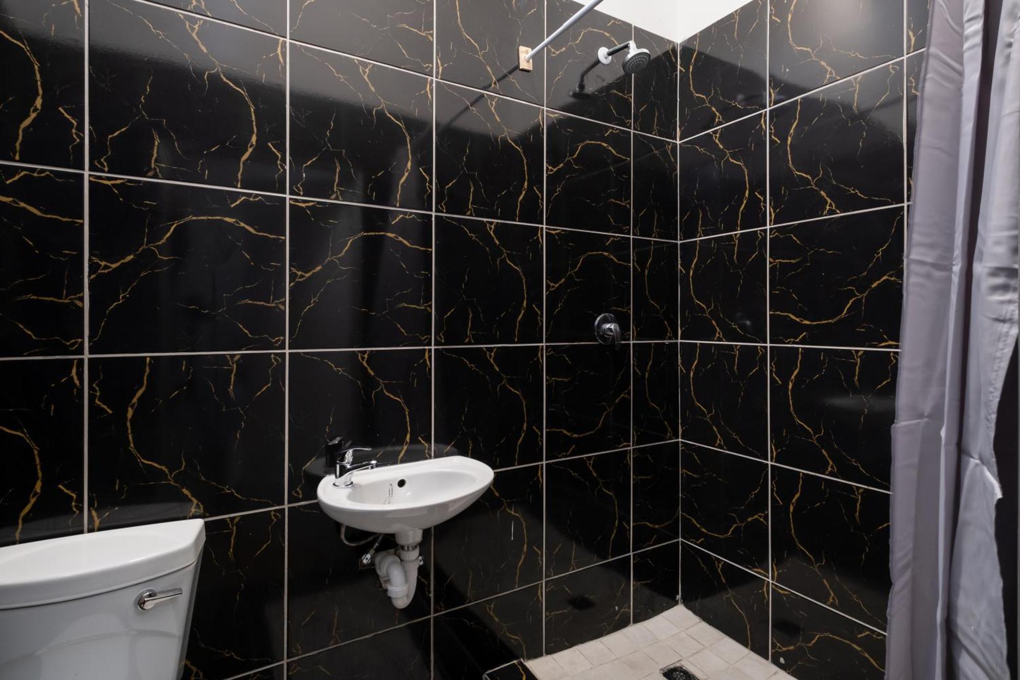 Cape Palm Royal * Cape Town